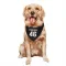 Black Vegas Golden Knights Jonas Rondbjerg   Dog & Cat Pet Bandana